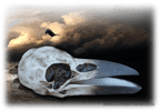 Dose Raben-Schädel Schmuckdose aus Polyresin Skull