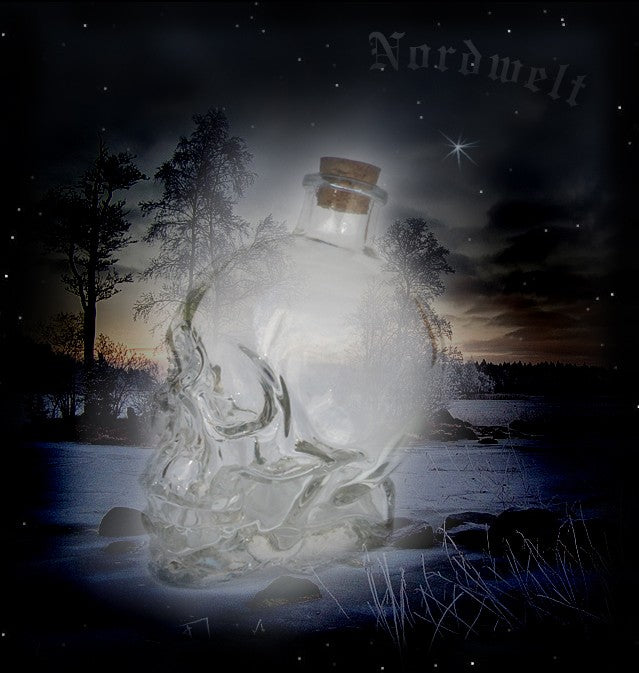 Vorratsflasche mit Korken Totenkopf Vorratsglas Skull 