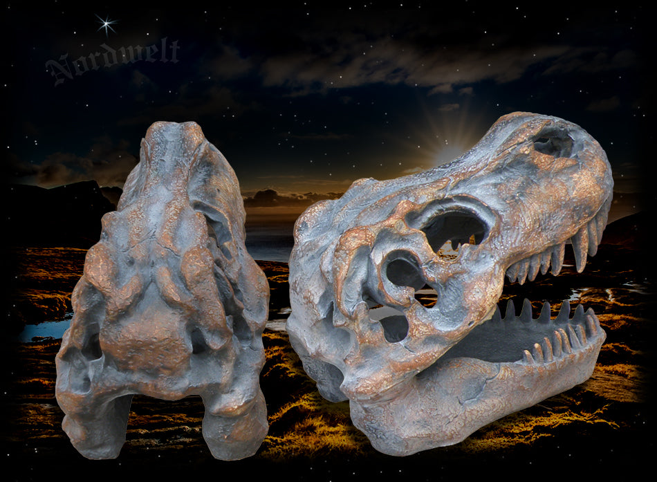 Deko Schädel Tyrannosaurus Rex, Deko  Dino- Schädel, Polyresin