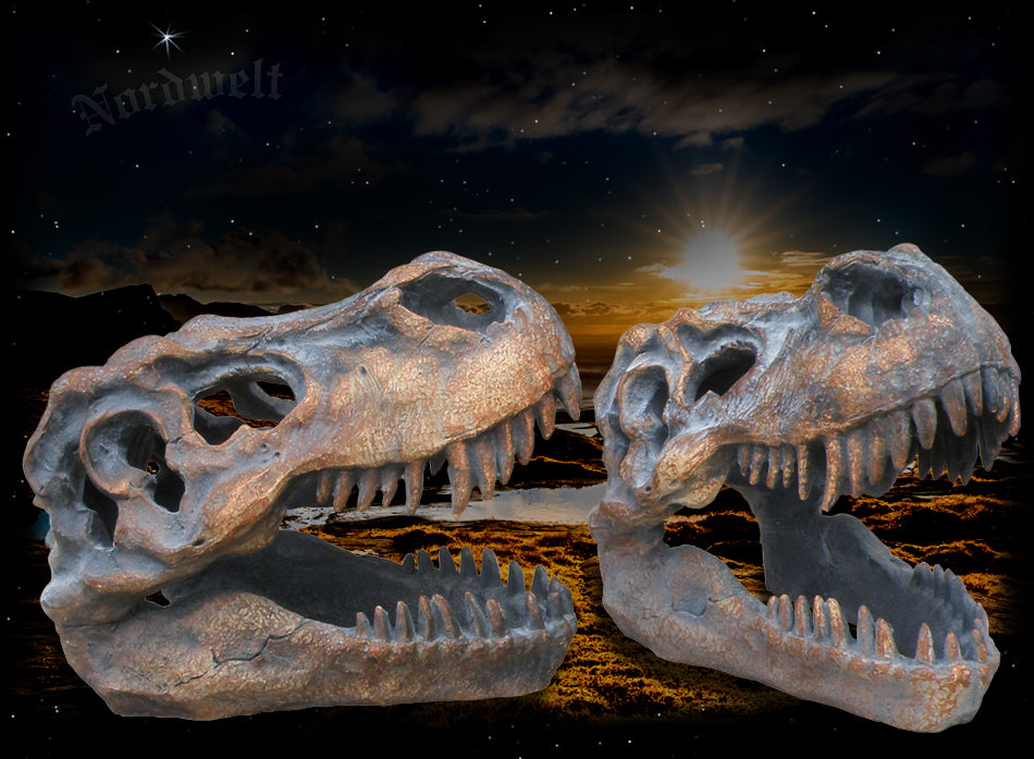 Schädel T-Rex, Deko Dinoschädel / Dino- Schädel, Polyresin