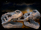 Schädel T-Rex, Deko Dinoschädel / Dino- Schädel, Polyresin