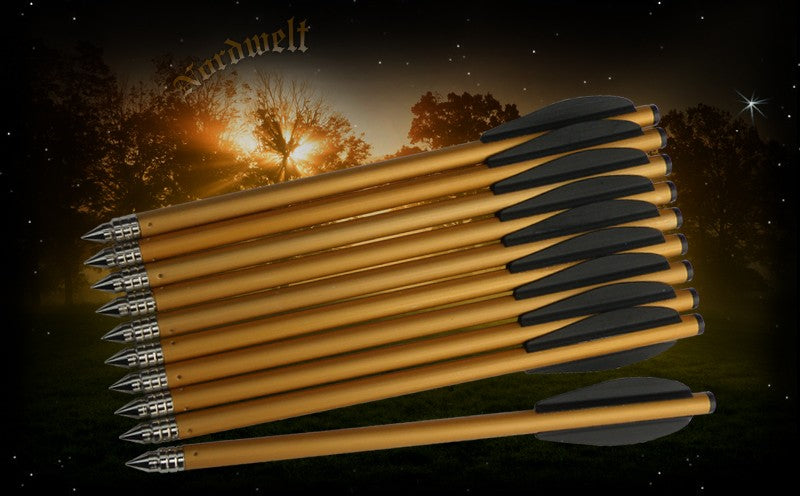Pfeile für Armbrust 16 cm (6.5 ") Ersatzpfeile für Armbrustpistole