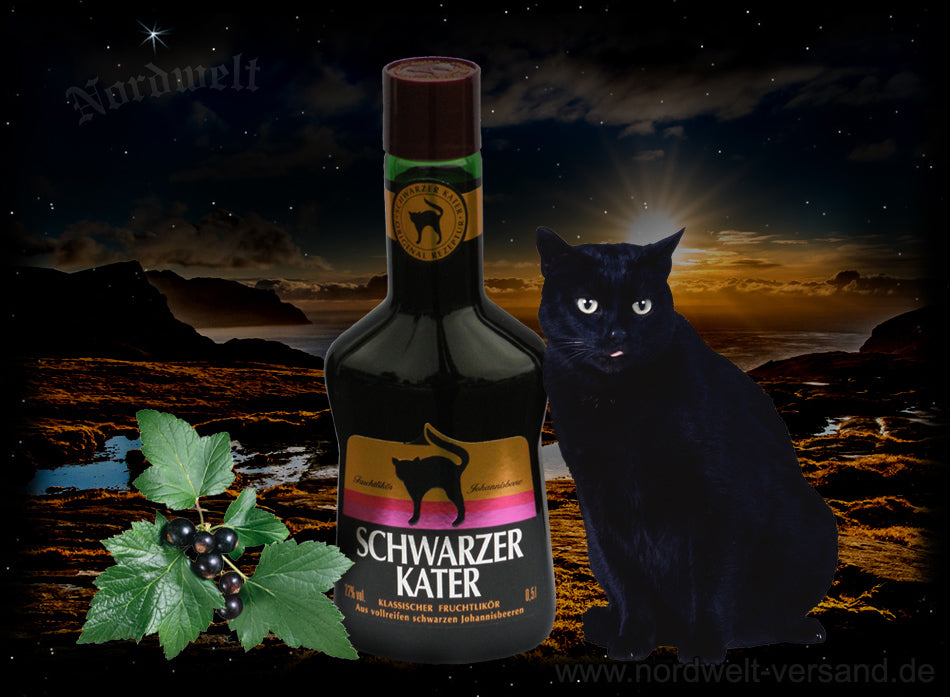 Schwarzer Kater Likör aus Johannisbeeren
